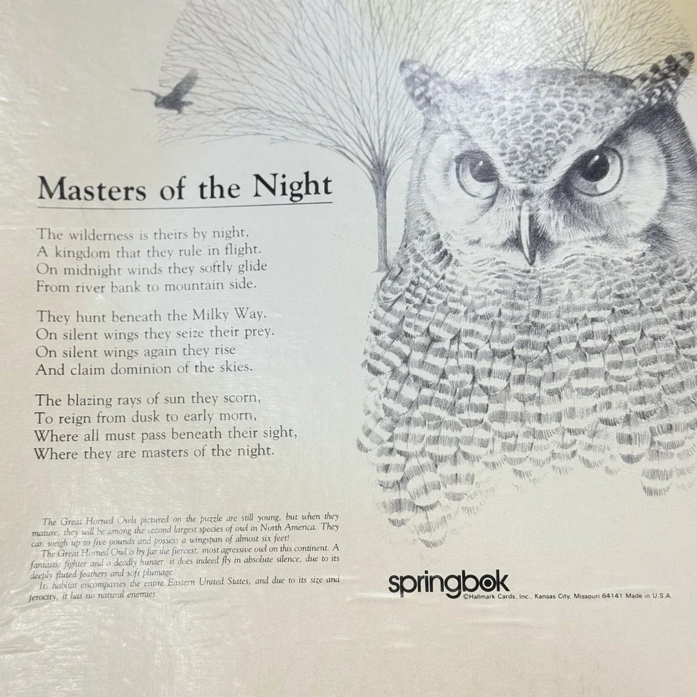 VTG Springbok Masters of the Night Owls Puzzle 500+ Pieces Complete USA 70s HTF!
